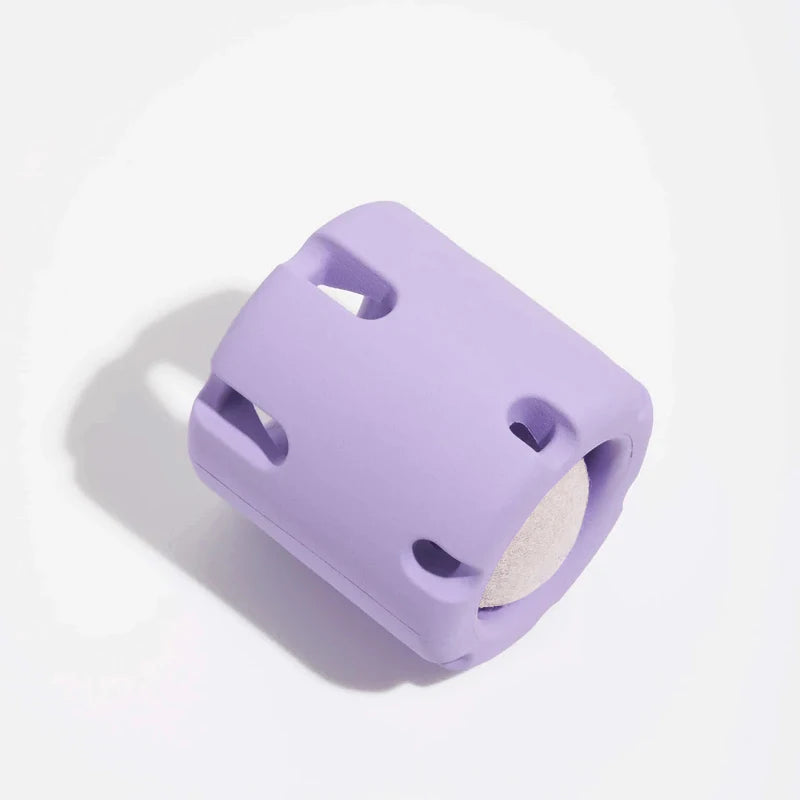 Tennis Tumble Toy for Dogs